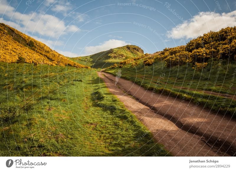 Weg zum Arthur's Seat in Edinburgh Ferien & Urlaub & Reisen Freiheit wandern Umwelt Natur Landschaft Pflanze Frühling Sträucher ästhetisch Großbritannien