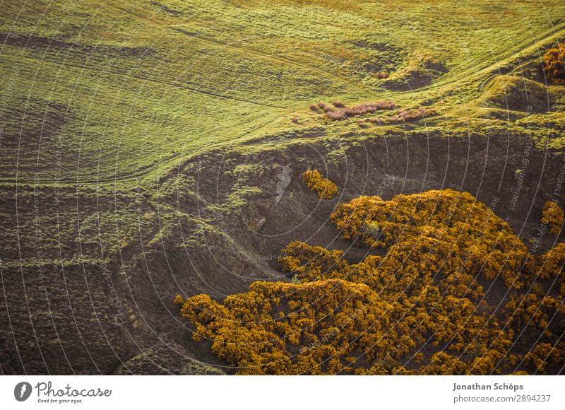 Ausblick vom Arthur's Seat auf Holyrood Park Ferien & Urlaub & Reisen Tourismus Freiheit wandern Wiese Wege & Pfade Zufriedenheit Ziel Edinburgh Großbritannien