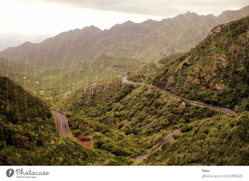 Der Weg ist das Ziel Natur Landschaft Pflanze Erde Himmel Wolken Gras Sträucher Hügel Felsen Berge u. Gebirge Tal Teneriffa Straße grün Farbfoto Gedeckte Farben