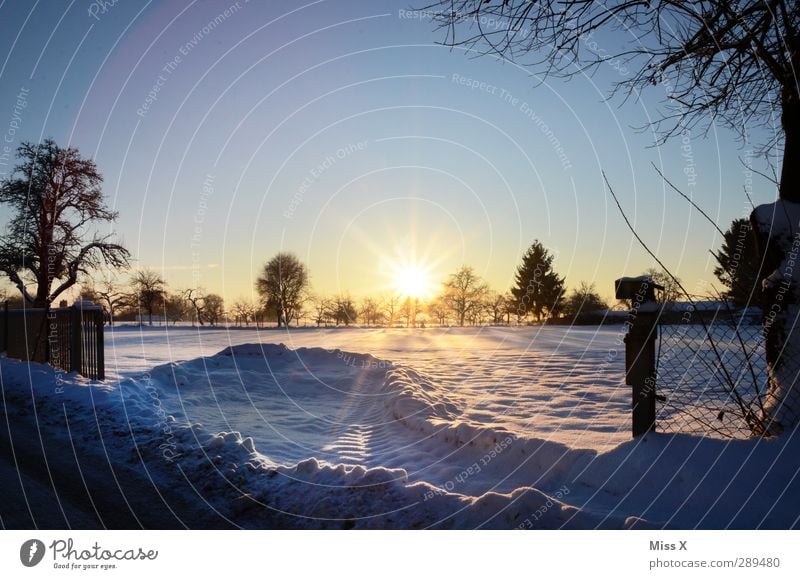 Winter Landschaft Schönes Wetter Eis Frost Schnee Baum Garten Park kalt weiß Schneelandschaft Farbfoto mehrfarbig Außenaufnahme Menschenleer Textfreiraum oben