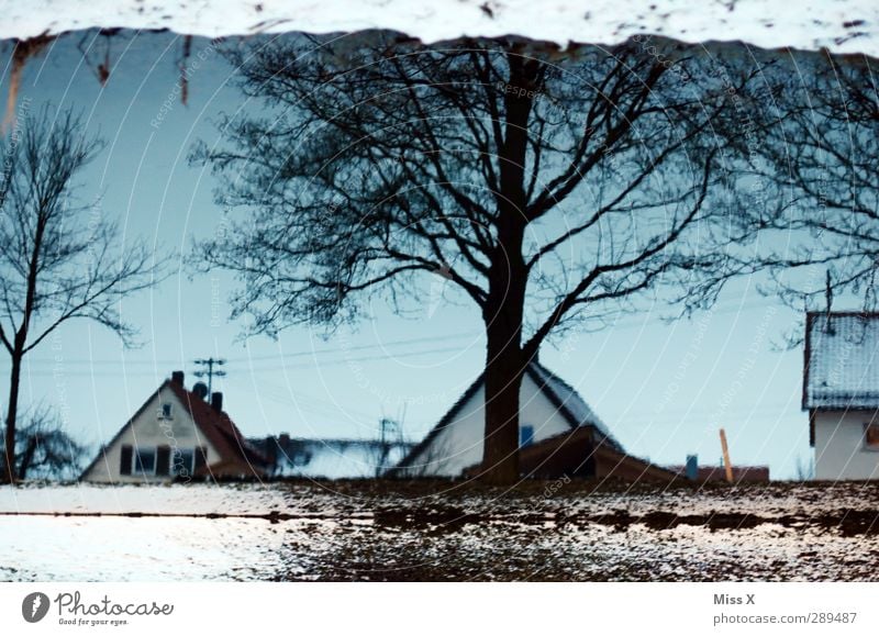 Winter Wasser Schnee Baum Bach kalt Wasserspiegelung Dach Farbfoto Außenaufnahme Menschenleer Dämmerung Reflexion & Spiegelung