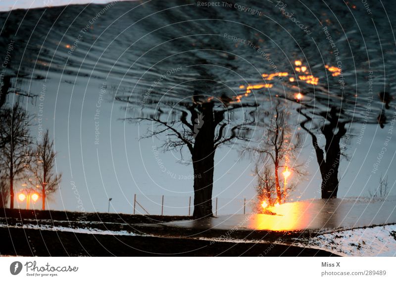 Winter Wasser Baum kalt Wasserspiegelung Wellen Bach Teich Farbfoto Außenaufnahme Menschenleer Abend Dämmerung Kunstlicht Reflexion & Spiegelung Unschärfe