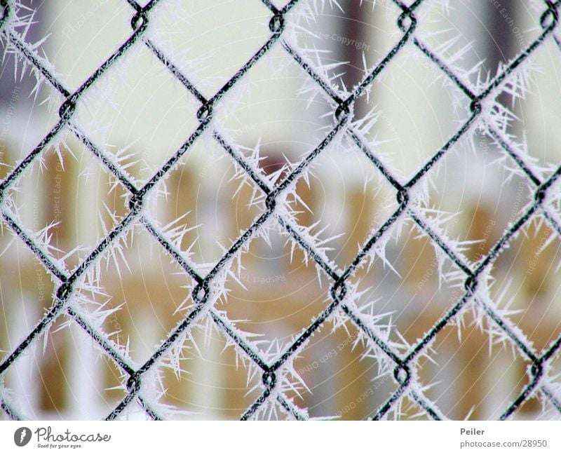 Winterpoesie aus Kristall Zaun Maschendraht kalt Eiskristall Gitter frieren Tiefenschärfe Unschärfe Klirren gefroren netzartig weiß schwarz Kristallstrukturen