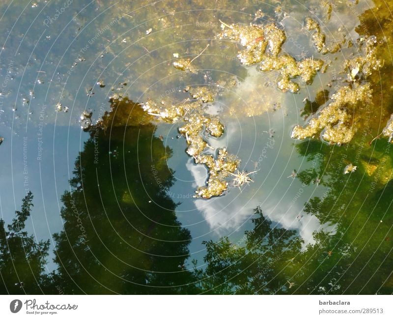 Weltuntergang | Versunkenes Europa Wasser Himmel Wolken Pflanze Baum Blüte Pflanzenreste Park Teich See Europakarte Landkarte leuchten fantastisch glänzend blau