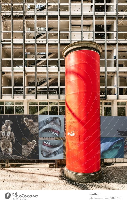 Immobilienhaie Hauptstadt Stadtzentrum Menschenleer Haus Hochhaus Mauer Wand Fassade alt kaputt blau braun grau rot schwarz weiß Gebäude Bauzaun Litfaßsäule