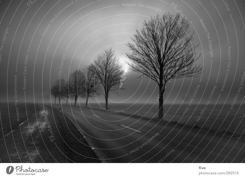 weltuntergang | ich fahr dann mal los... Natur Landschaft Himmel Wolken Sonne Herbst Wetter schlechtes Wetter Nebel Pflanze Baum Gras Wiese Feld Verkehr Straße