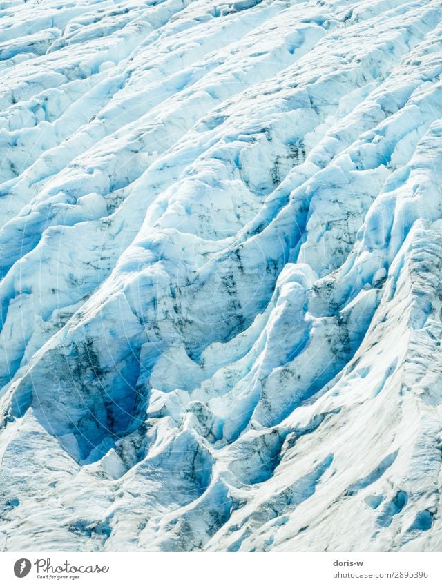 Packeis Umwelt Natur Landschaft Urelemente Winter Klima Klimawandel Schönes Wetter Eis Frost Schnee Gletscher alt ästhetisch blau Abenteuer Gletscherspalte kalt