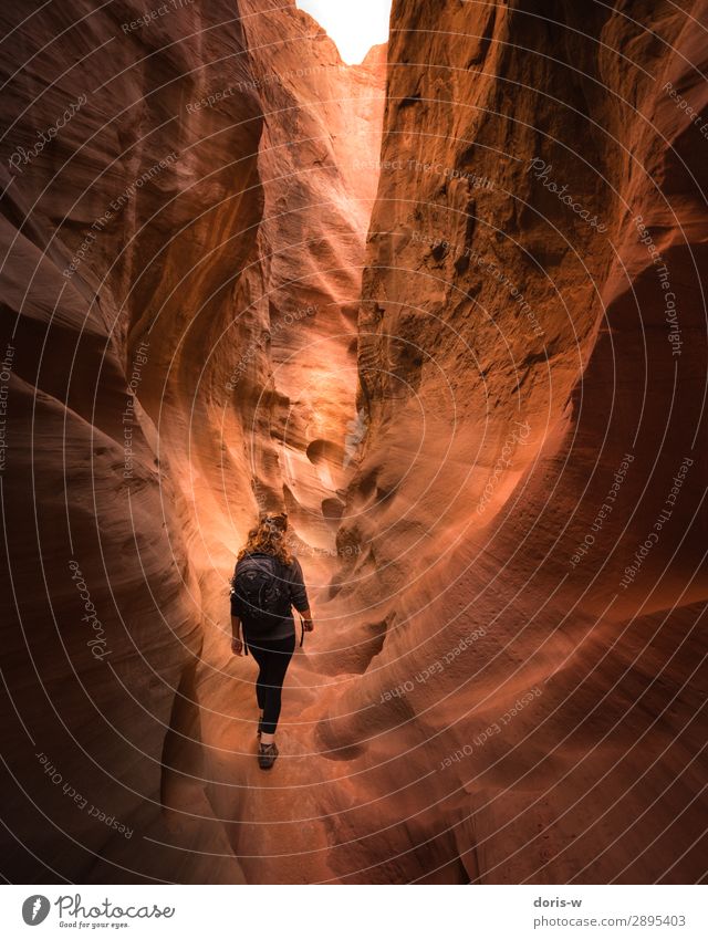 Rein ins Ungewisse wandern feminin Junge Frau Jugendliche 1 Mensch Natur Landschaft Erde Sand Dürre Felsen Schlucht Wüste Wanderschuhe rothaarig Neugier