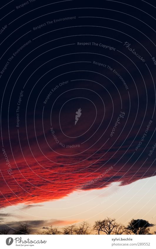 Weltuntergang | Das letzte bisschen Farbe Umwelt Natur Landschaft Pflanze Himmel Wolken Gewitterwolken Nachthimmel Sonnenaufgang Sonnenuntergang Sonnenlicht