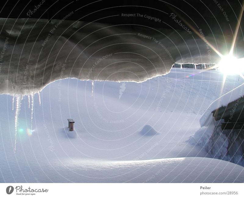 Morgen am Winklmoos Winter Eiszapfen Sonnenstrahlen weiß Berge u. Gebirge Schnee