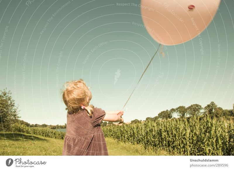 Meine Welt ist Sommer Kinderspiel Ausflug Mädchen Kindheit Leben 1 Mensch 3-8 Jahre Himmel Wolkenloser Himmel Maisfeld Luftballon fliegen Spielen Fröhlichkeit