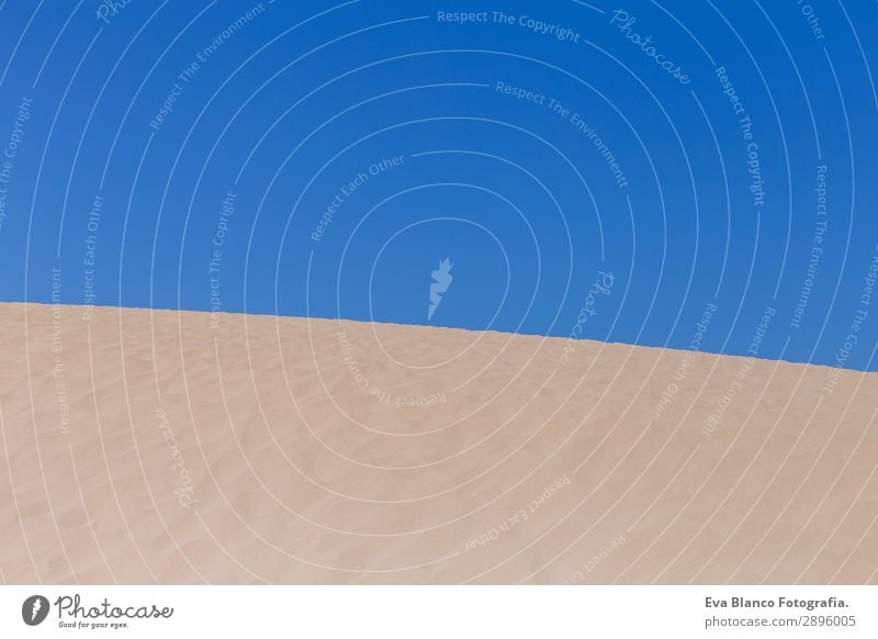 Weiße Sanddünen im Sommer, blauer Himmelshintergrund Erholung Ferien & Urlaub & Reisen Sonne Strand Dekoration & Verzierung Natur Landschaft Schönes Wetter