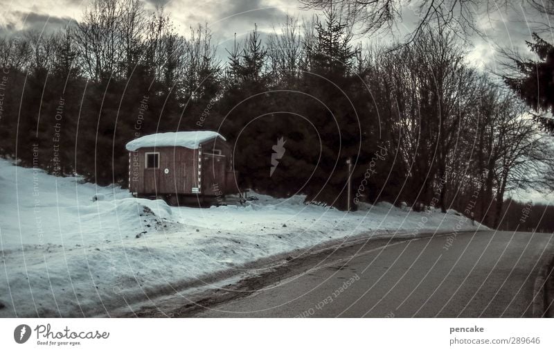 stille nacht Natur Landschaft Wolken Winter Eis Frost Schnee Baum Wald Hütte Straße Bauwagen Stimmung Sicherheit Schutz ruhig Einsamkeit Farbfoto