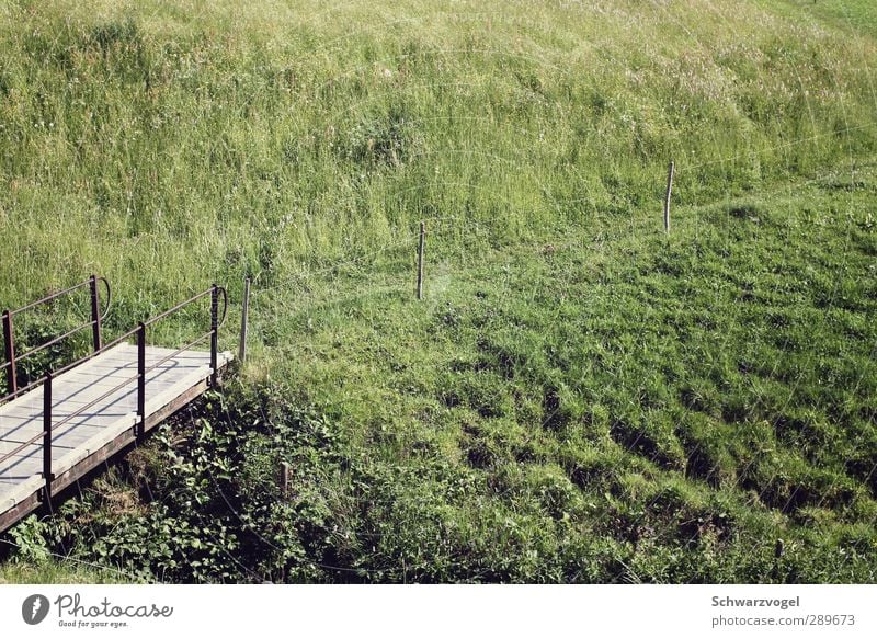 Wanderlust wandern Umwelt Natur Landschaft Pflanze Schönes Wetter Gras Sträucher Wiese Hügel Zufriedenheit Erholung erleben Freiheit Freizeit & Hobby