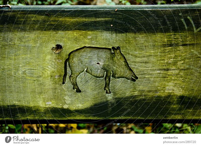 Wild Möbel Kunst Herbst Tier Wildtier 1 Freude Jahreszeiten Herbstlaub Oktober Bank Sessellehne Relief Wildschwein Keiler schnitzkunst Holzschnitt Schnitzereien