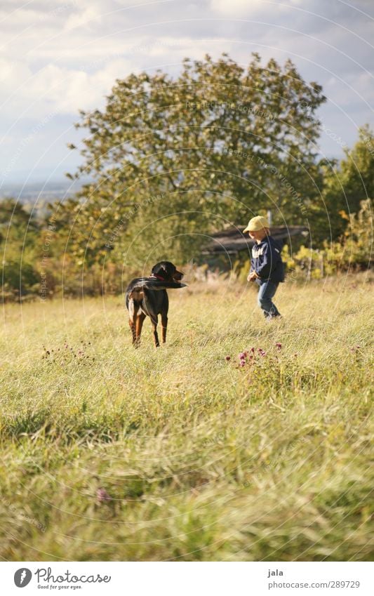 freundschaft Mensch maskulin Kind Junge 1 3-8 Jahre Kindheit Umwelt Natur Landschaft Himmel Schönes Wetter Pflanze Baum Gras Sträucher Wiese Tier Haustier Hund