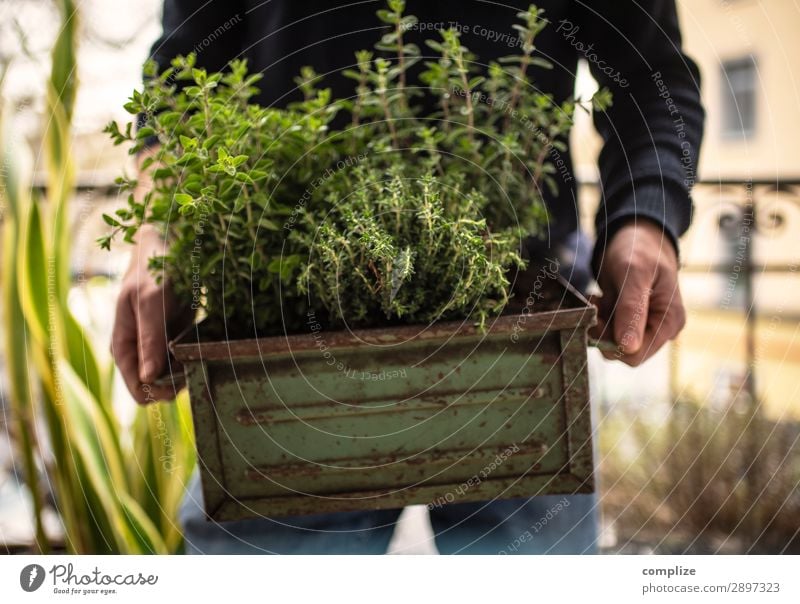 Urban Gardening | Kräuter einpflanzen Lebensmittel Bioprodukte Vegetarische Ernährung Lifestyle Stil Gesundheit Zufriedenheit Freizeit & Hobby Häusliches Leben