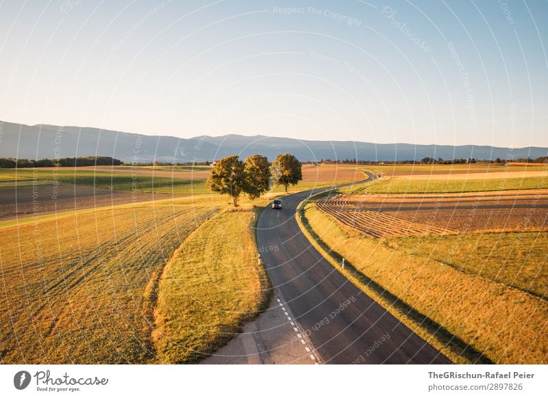 Swiss Sunset Umwelt Natur Landschaft blau braun gelb grün orange schwarz Straße Sonnenuntergang Baum Schatten Licht Feld PKW Landwirtschaft Farbfoto