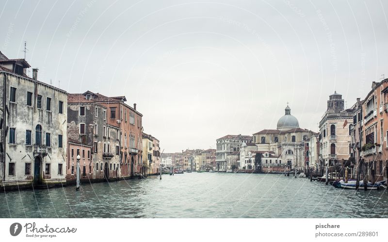 Venecia Wasser Flussufer Stadt Hafenstadt Stadtzentrum Altstadt Bauwerk Fassade Sehenswürdigkeit authentisch Senior Venedig Italien Canal Grande Farbfoto