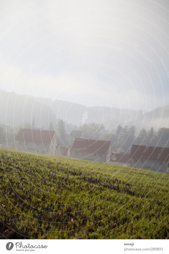 vernebelt Umwelt Natur Landschaft Herbst Nebel Feld natürlich grau grün Haus Häuserzeile Stadtteil Dorf ländlich Farbfoto Außenaufnahme Menschenleer