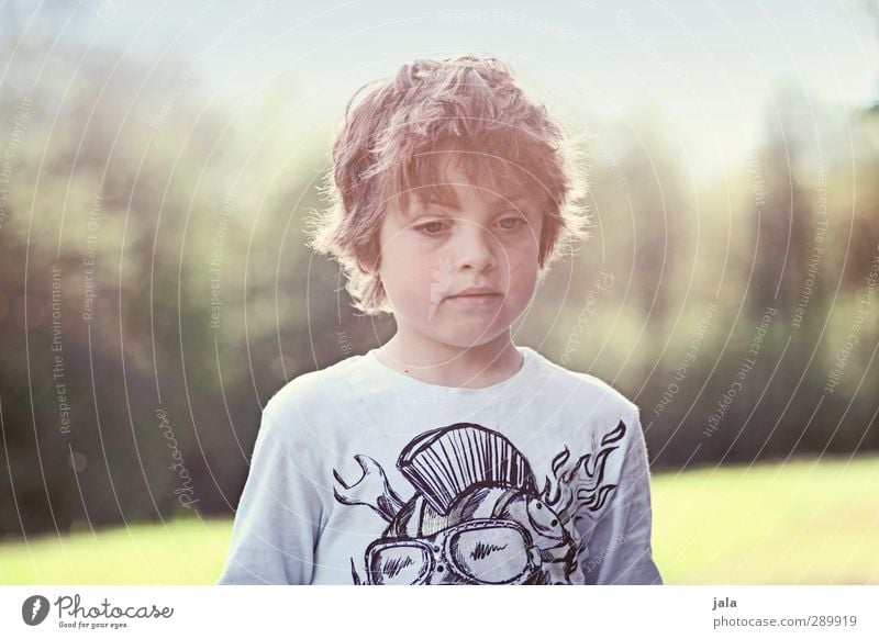 just a boy Mensch maskulin Junge Kindheit 1 3-8 Jahre Umwelt Natur Landschaft Sonne Herbst Pflanze Baum Wiese authentisch schön wild Farbfoto Außenaufnahme Tag