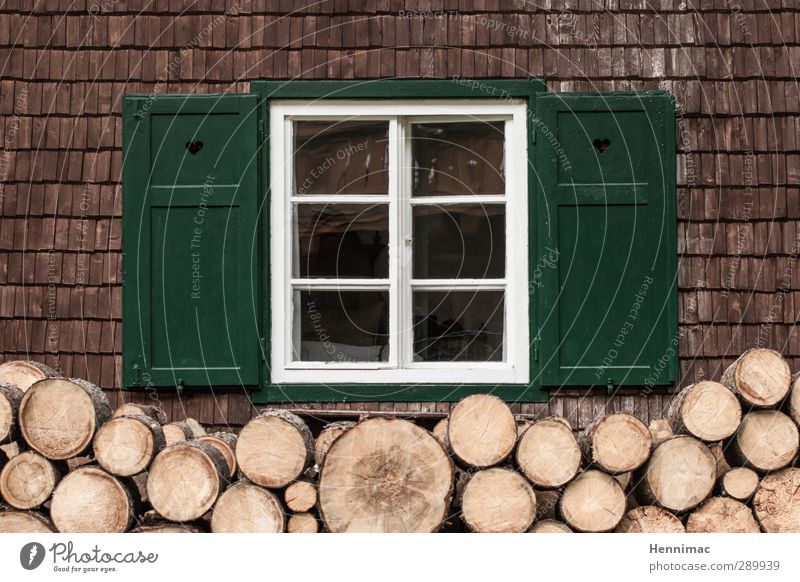 Der Winter kommt bestimmt. Wohnung Haus Herbst Hütte Gebäude Fassade Fenster Holz Glas Häusliches Leben alt natürlich braun grün weiß ruhig Heimweh Einsamkeit