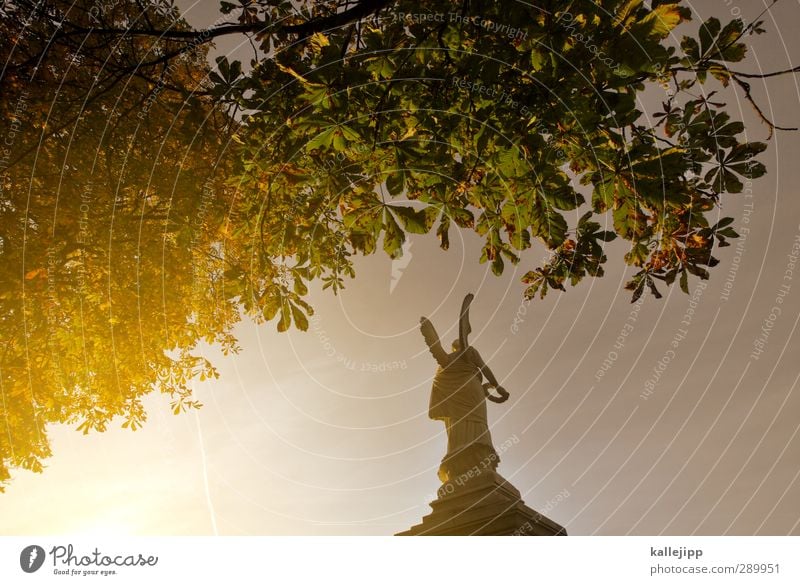 glory days Mensch Körper 1 Herbst Baum Begeisterung Ehre Tapferkeit Macht Tatkraft Sieg Engel Flügel Kranz lorbeerkranz Statue Kunst Kultur Sockel alt