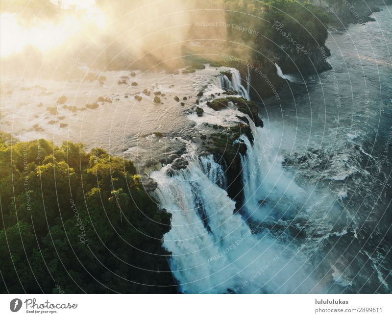 das ist ein wasserfall. Ferien & Urlaub & Reisen Tourismus Abenteuer Ferne Freiheit Umwelt Natur Wasser Wasserfall Iguazu Fälle frei stark Baum