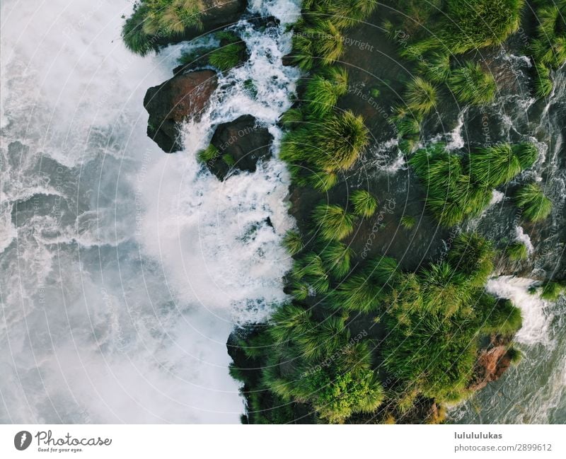 das ist ein wasserfall II Ferien & Urlaub & Reisen Tourismus Abenteuer Ferne Iguazu Fälle Iguazu NP Wasser Wasserfall Natur Naturschutzgebiet grün Grünpflanze