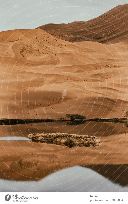 See in der Wüste Erholung Natur Landschaft Pflanze Urelemente Sand Himmel Wolken Baum Park Hügel Seeufer Ruine authentisch natürlich trocken braun gelb