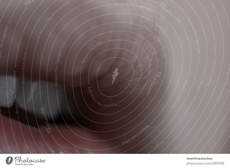 want a kiss? feminin Junge Frau Jugendliche Haut Mund Lippen Zähne 1 Mensch 18-30 Jahre Erwachsene atmen beobachten Denken genießen Küssen authentisch kalt