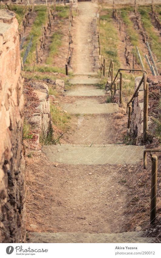 Ein Blick zurück Weg Treppe Stein Sand Gras grün grau rot