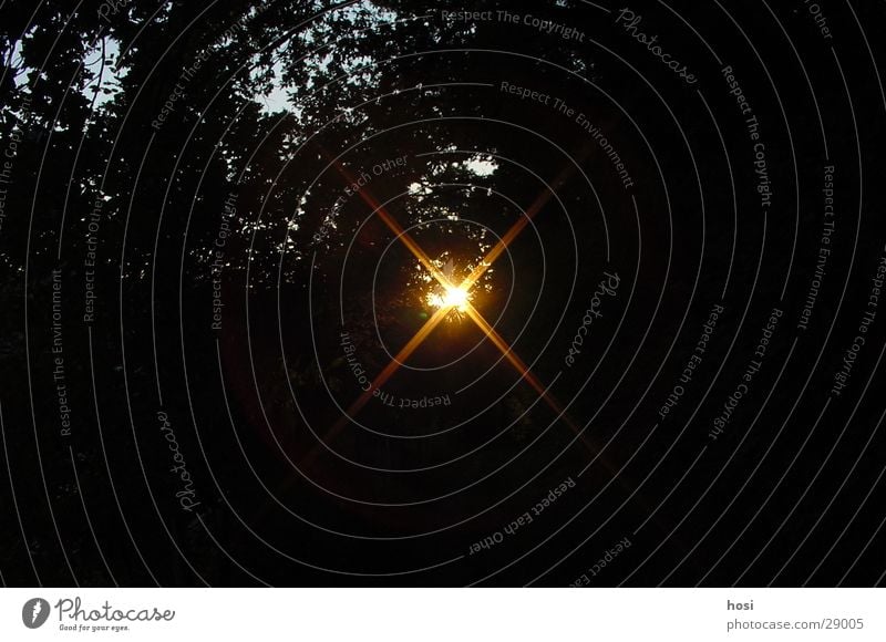 Sonnenloch Sonnenuntergang Wald Baum Beleuchtung Natur