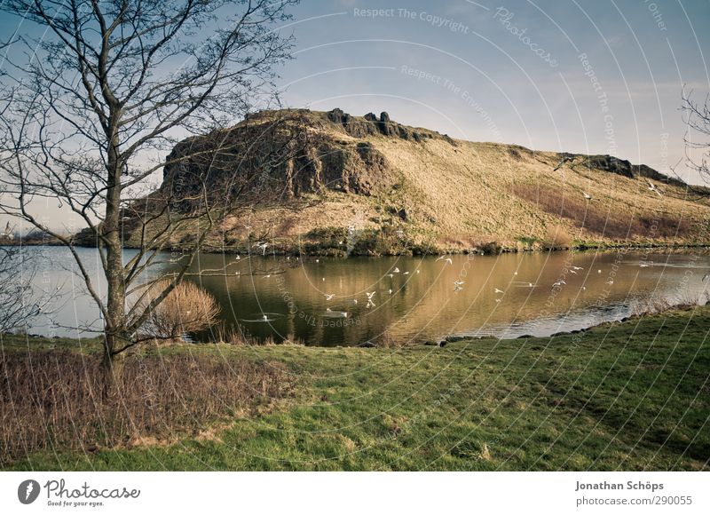 Teichbetrachtung II Umwelt Natur Landschaft Himmel Seeufer fantastisch Berge u. Gebirge Hügel Gras Ente Ententeich Außenaufnahme wandern Schottland Edinburgh