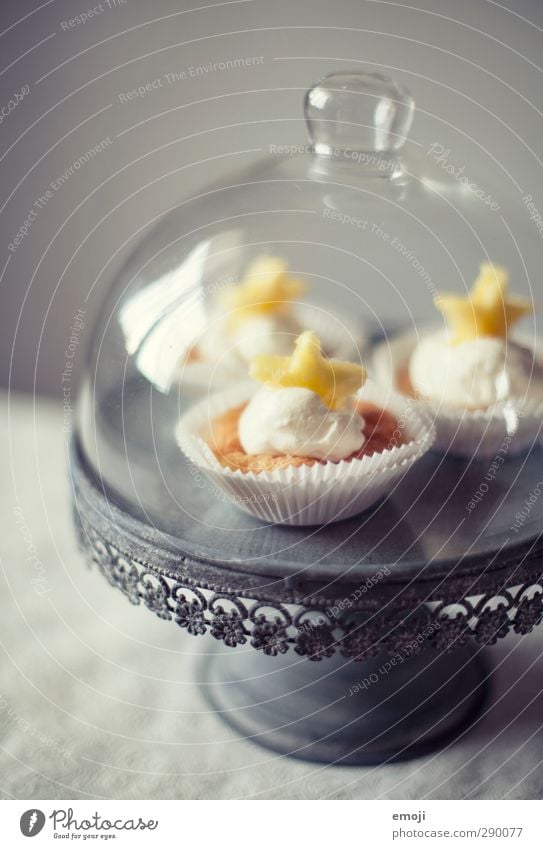 Vorsätze Dessert Süßwaren Ernährung Picknick Fingerfood Geschirr Tortenplatte lecker süß Muffin Cupcake Farbfoto Innenaufnahme Menschenleer Hintergrund neutral