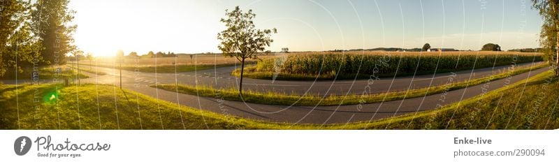 Die gerade Kurve Ausflug Freiheit Fahrradtour Sommer Sonne Fahrradfahren Joggen wandern Umwelt Natur Landschaft Himmel Wolkenloser Himmel Schönes Wetter Wiese