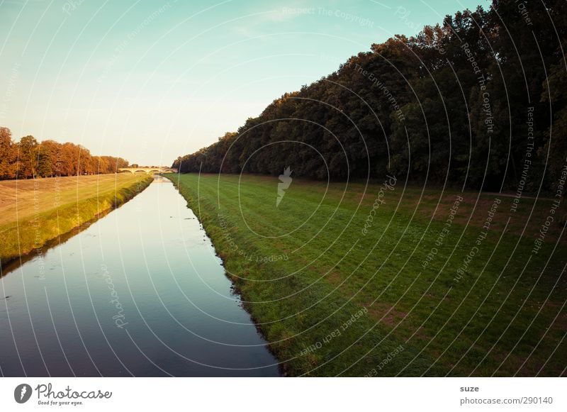 Am Kanal Umwelt Natur Landschaft Urelemente Luft Wasser Himmel Horizont Sommer Schönes Wetter Wiese Wald authentisch einfach schön blau gelb grün Gewässer