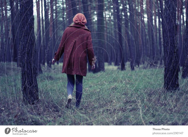 Rotkäppchen im Wald Winter wandern Armut schön rot grün Gras Einsamkeit Baum Mütze Mantel Freiheit wild Strumpfhose blau gehen Spaziergang Farbfoto