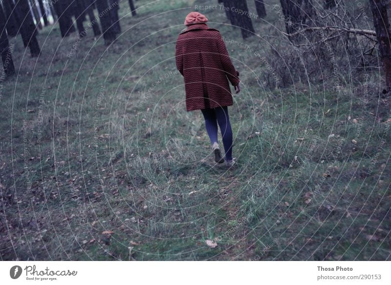 Allein im Wald feminin Junge Frau Jugendliche Körper Rücken Umwelt Natur Pflanze Baum Gras Moos Farn Dorf Bewegung gehen laufen wandern wild rot Wege & Pfade