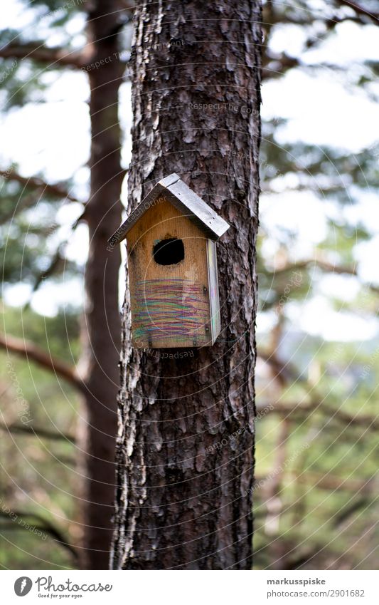 Vogelhaus Ausflug Abenteuer Ferne Freiheit wandern Garten Kindererziehung Bildung Wissenschaften Erwachsenenbildung Kindergarten Schulhof Gartenarbeit Jäger