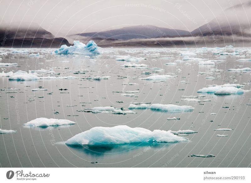 Green(iceberg)land Abenteuer Expedition Natur Landschaft Wasser Hügel Fjord frieren Coolness Unendlichkeit kalt blau türkis Endzeitstimmung Grönland Adventure