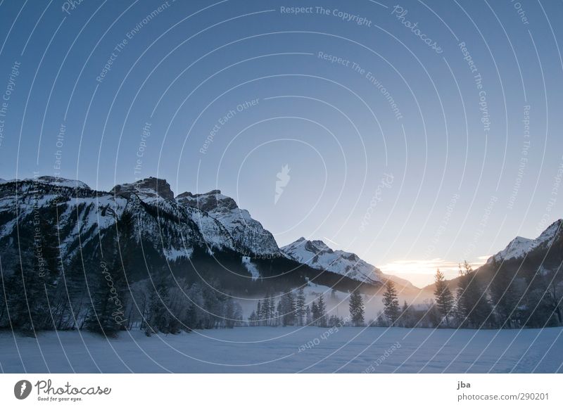 kalt ruhig Winter Schnee Berge u. Gebirge wandern Umwelt Natur Landschaft Luft Schönes Wetter Nebel Eis Frost Felsen Alpen Saanenland blau wild hoch Farbfoto