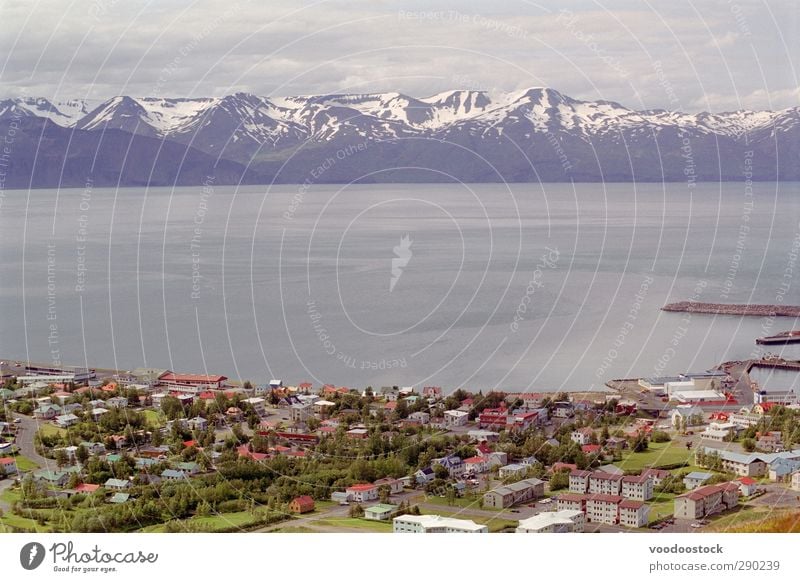 Ferne Bergkette Schnee Berge u. Gebirge Umwelt Natur Wasser Wetter Schneebedeckte Gipfel Fjord Kleinstadt Haus Hafen Dach Sehenswürdigkeit Horizont Island