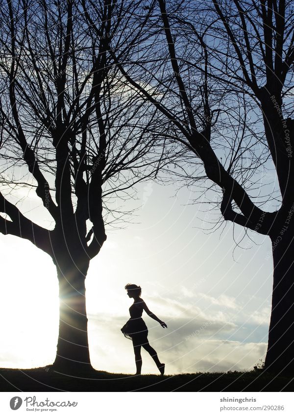 gegenwind feminin Junge Frau Jugendliche Körper 1 Mensch 18-30 Jahre Erwachsene Landschaft Himmel Horizont Sonne Winter Schönes Wetter Wind Baum Kleid gehen