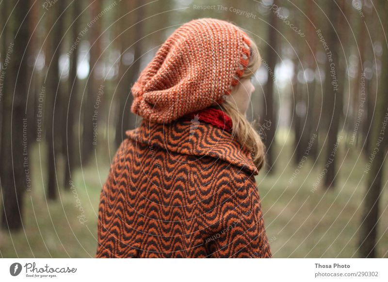 Rotmützchen Umwelt Natur Herbst Winter Pflanze Baum Gras Wildpflanze frieren Blick rot Rotkäppchen Mantel Mütze Einsamkeit blond Junge Frau weiblich Wald kalt