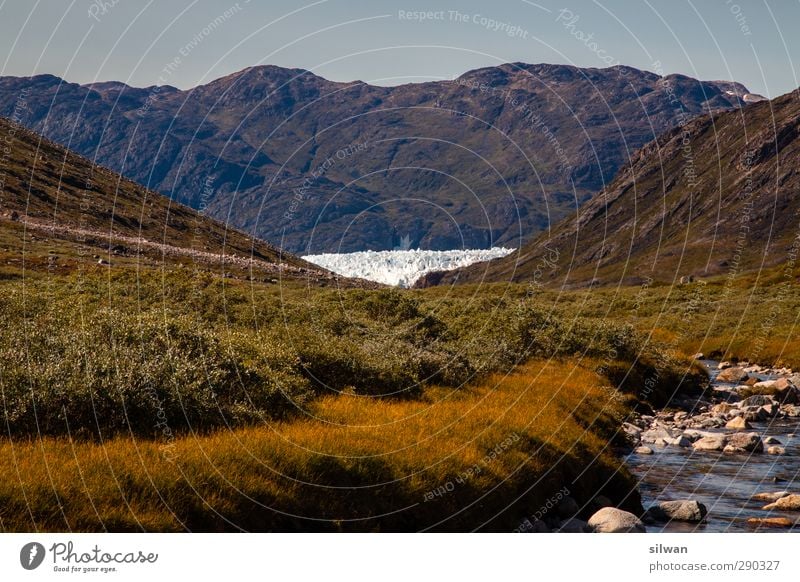 Green(glacier)land Landschaft Wasser Herbst Schönes Wetter Gras Sträucher Hügel Berge u. Gebirge Gletscher Fjord Fluss Ferne gigantisch stachelig gelb grün weiß