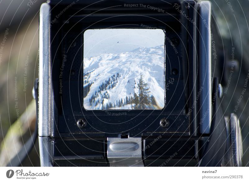 Tanne Tourismus Winter Schnee Berge u. Gebirge Natur Landschaft Klima Alpen Schneebedeckte Gipfel beobachten Unendlichkeit kalt retro weiß Fernweh Kamerawurf