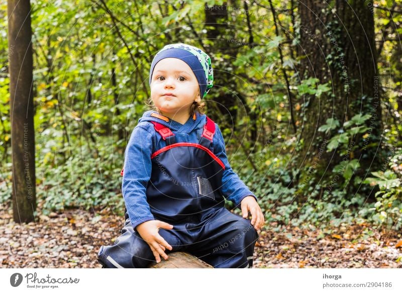 Baby spielt im Herbst auf einem Waldweg. Lifestyle Freude Glück Ferien & Urlaub & Reisen Tourismus Abenteuer Freiheit wandern Halloween Kind Mensch Junge Mann