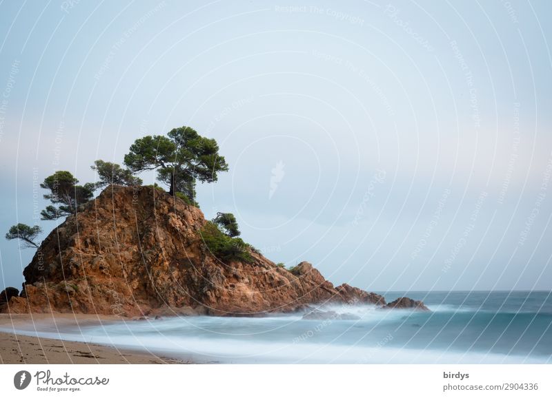 Idyll am Meer Ferien & Urlaub & Reisen Sommer Sommerurlaub Strand Insel Wellen Natur Wasser Himmel Horizont Schönes Wetter Baum Felsen Küste Mittelmeer