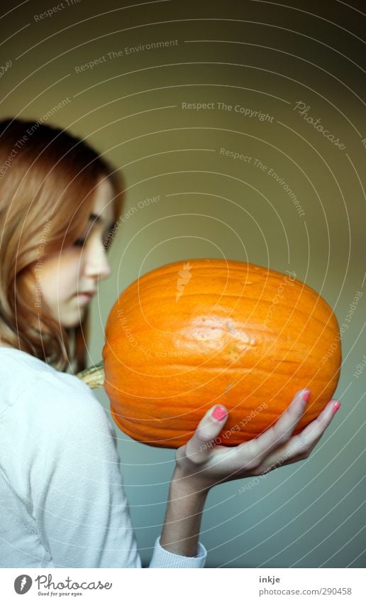 groß, orange, schwer Lifestyle Stil Freude Gesunde Ernährung Freizeit & Hobby Erntedankfest Halloween Mensch Mädchen Kindheit Jugendliche Leben 1 13-18 Jahre